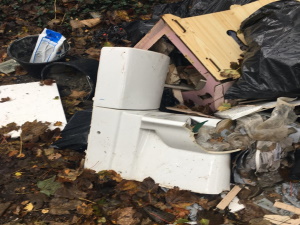 dumped household rubbish including a toilet
