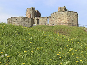 Image of Stafford Castle