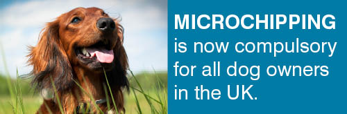 Microchip Banner