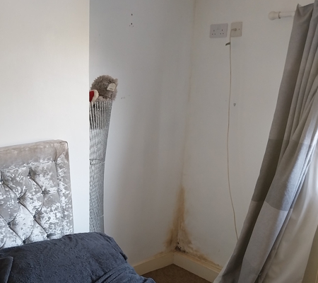 Mould in corner of room
