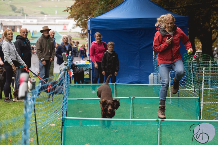 The Big Bark Festival